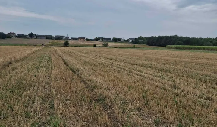 Działka rolna Mnichów