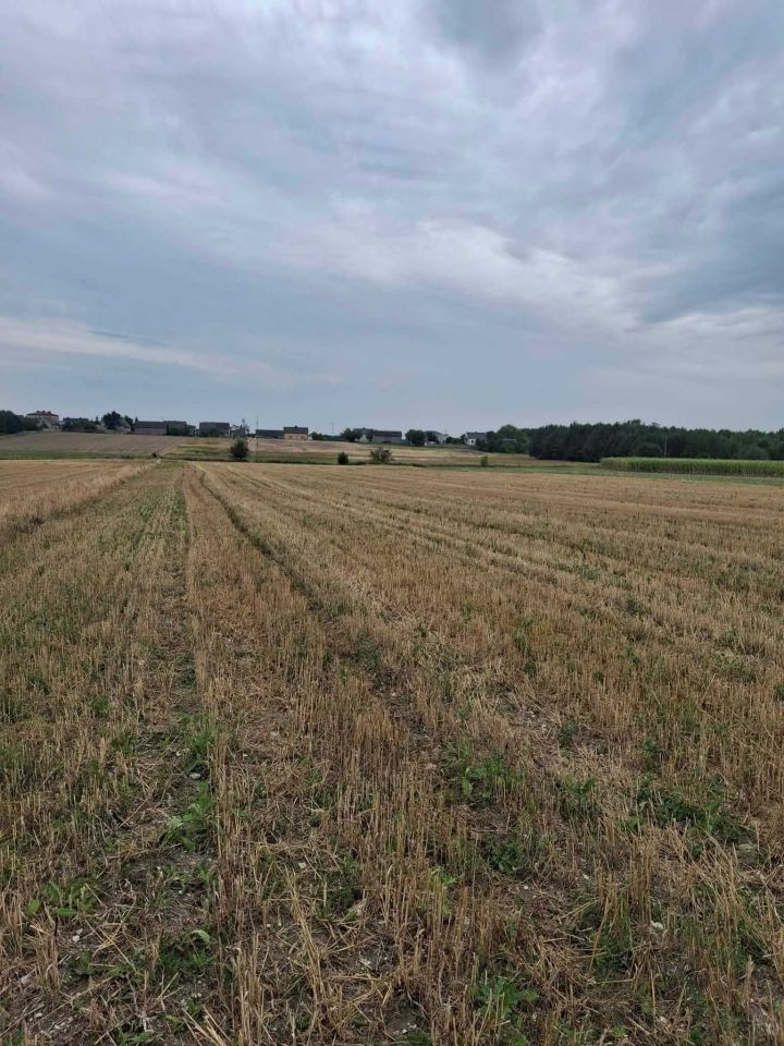 Działka na sprzedaż bez pośredników
Mnichów