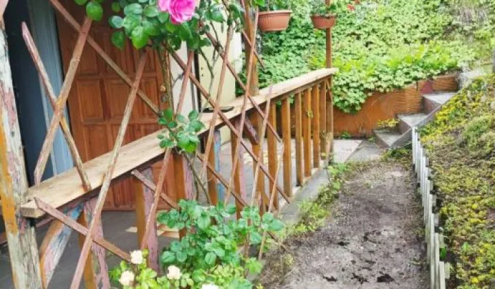 Działka rod Gdańsk Morena, ul. Nowolipie