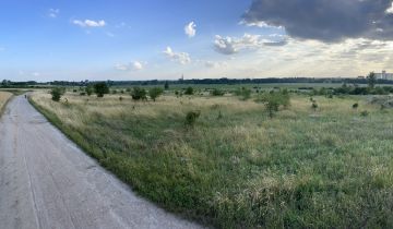 Działka rolna Chojna, ul. Barnkowo