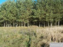 Działka Ludowice. Zdjęcie 4