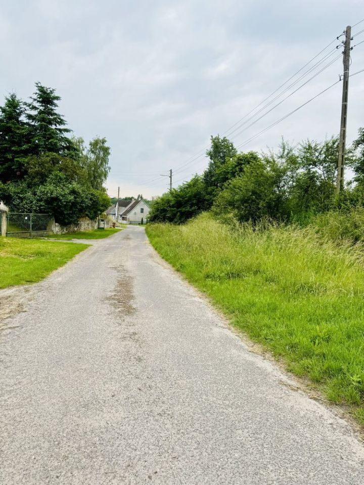 Działka rolno-budowlana Radzanek. Zdjęcie 8