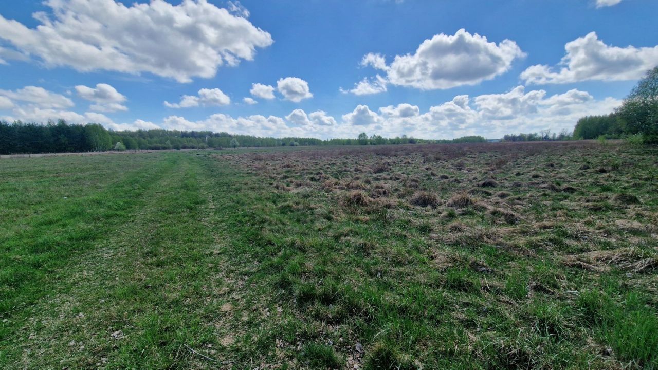 Działka rolna Tyborów. Zdjęcie 3