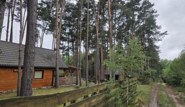 Działka rekreacyjna Królewo