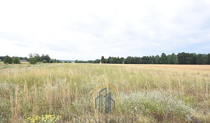 Działka siedliskowa Górka