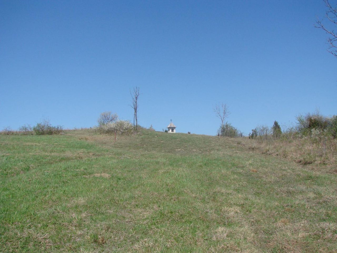 Działka rolna Posada Jaśliska Sołtyskie. Zdjęcie 3