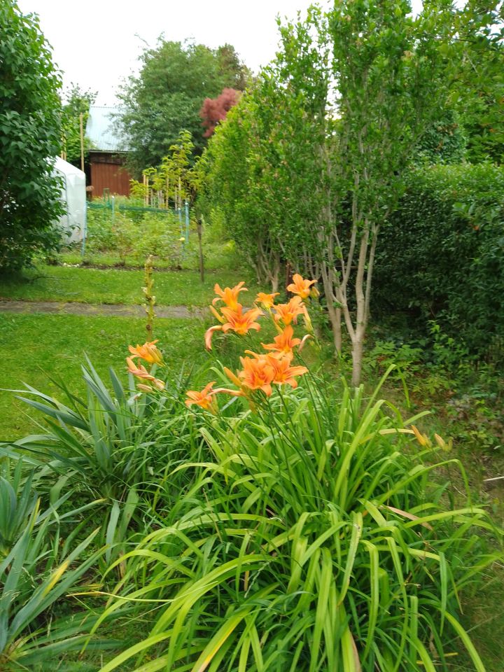 Działka rod Rzeszów Nowe Miasto, al. Niepodległości. Zdjęcie 7