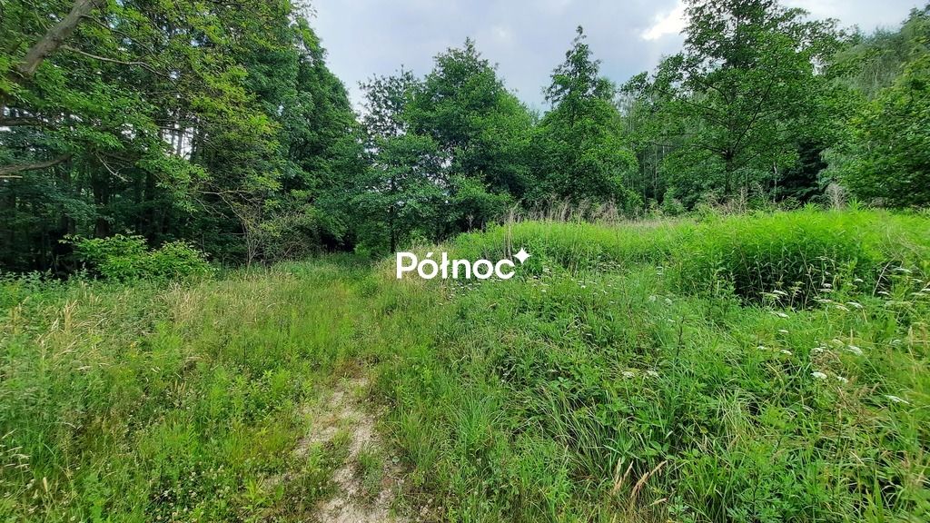 Działka budowlana Lubków. Zdjęcie 5