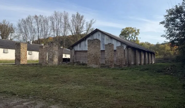 Nieruchomość komercyjna Januszkowice