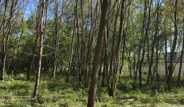 Działka budowlana Musuły, ul. Kwiatu Paproci