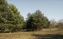 Działka budowlana Rajszew, ul. Mazowiecka. Zdjęcie 2