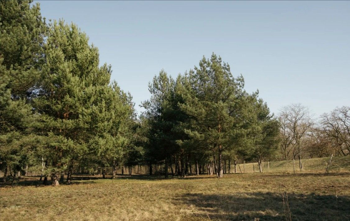 Działka budowlana Rajszew, ul. Mazowiecka. Zdjęcie 3