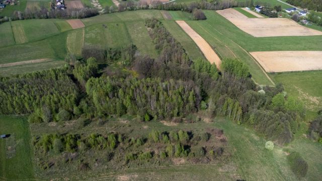 Działka rolna Laskówka. Zdjęcie 14