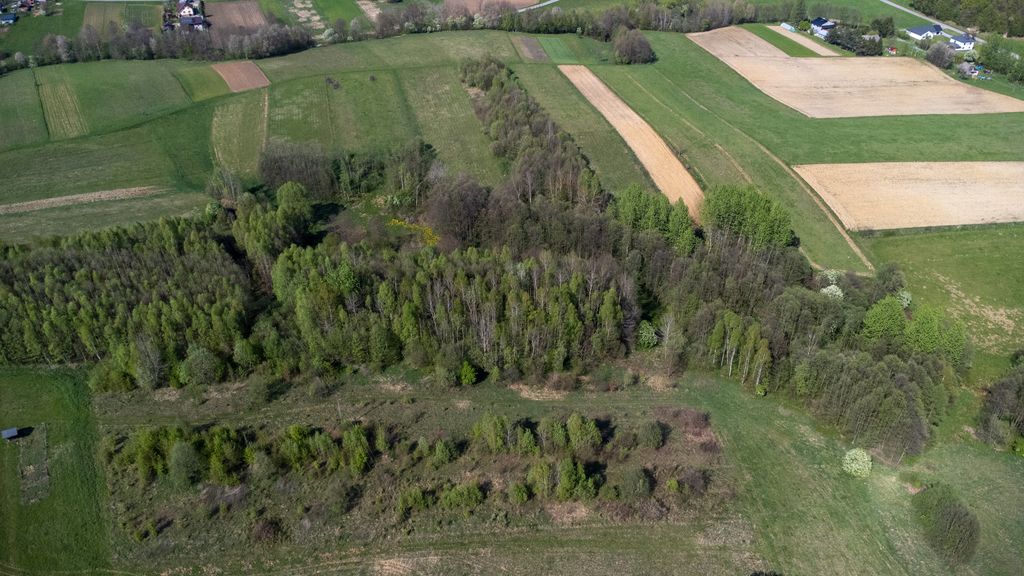Działka rolna Laskówka. Zdjęcie 14