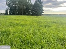 Działka rolna Gady. Zdjęcie 4