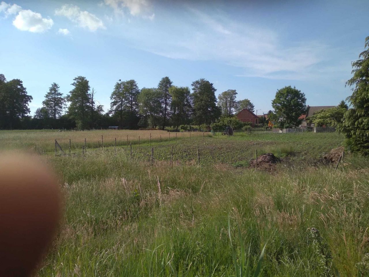 Działka budowlana Kaszowo. Zdjęcie 4