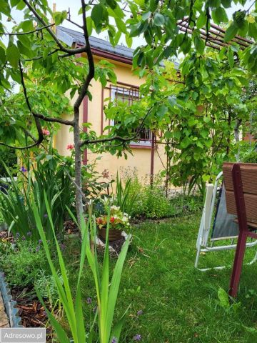 Działka rekreacyjna Szczecin Warszewo, ul. Przyjaciół Żołnierza. Zdjęcie 1