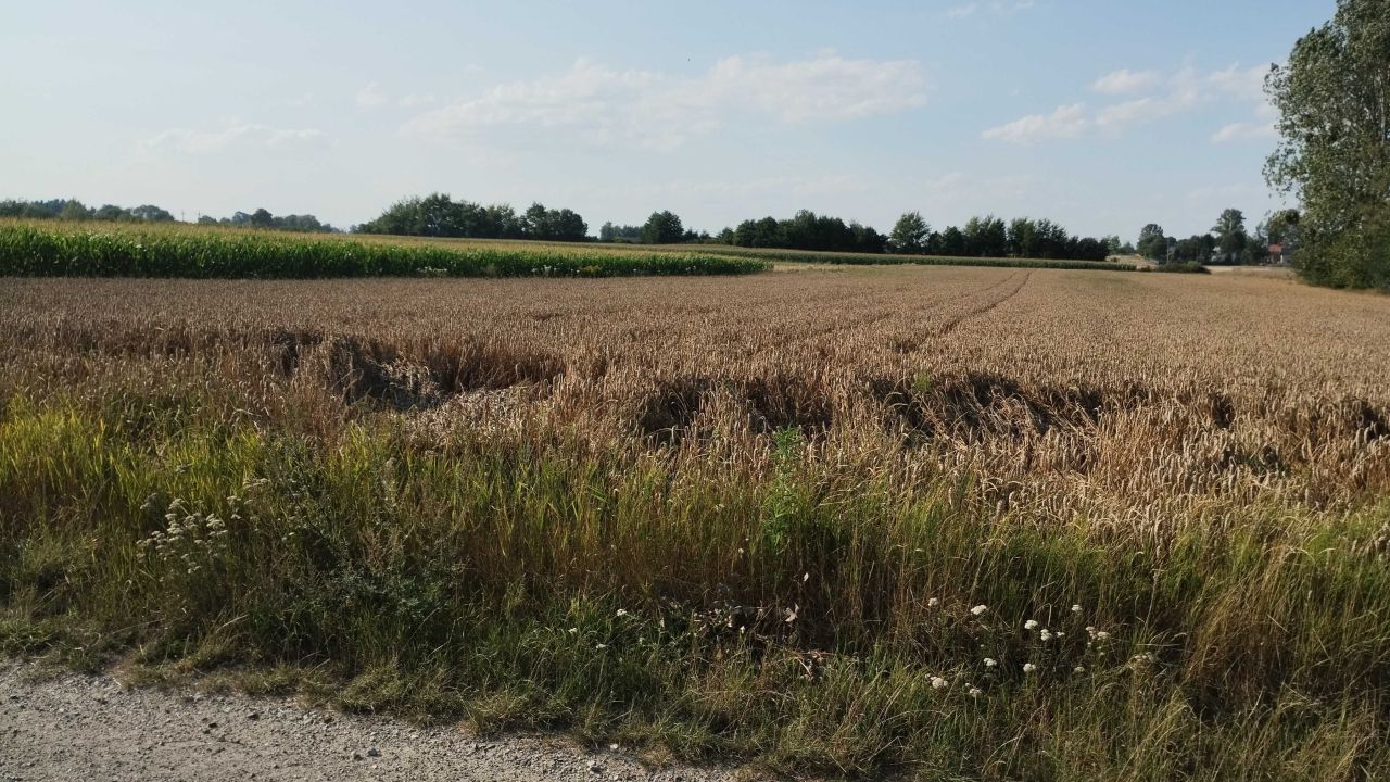 Działka rolno-budowlana Trębaczów. Zdjęcie 5
