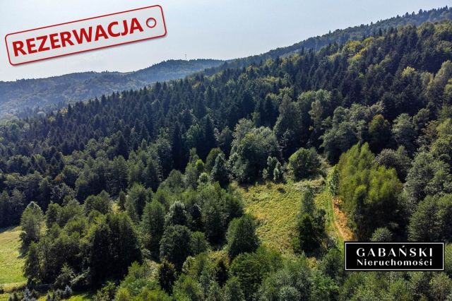 Działka budowlana Słona. Zdjęcie 2