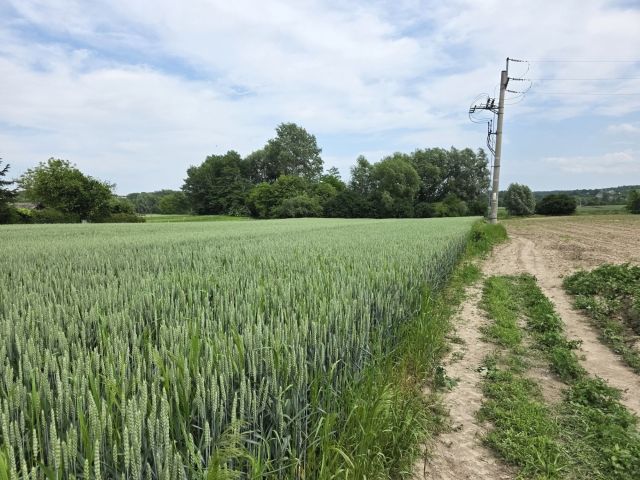 Działka budowlana Przeworsk, ul. Żurawia. Zdjęcie 1
