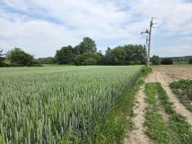 Działka budowlana Przeworsk, ul. Żurawia