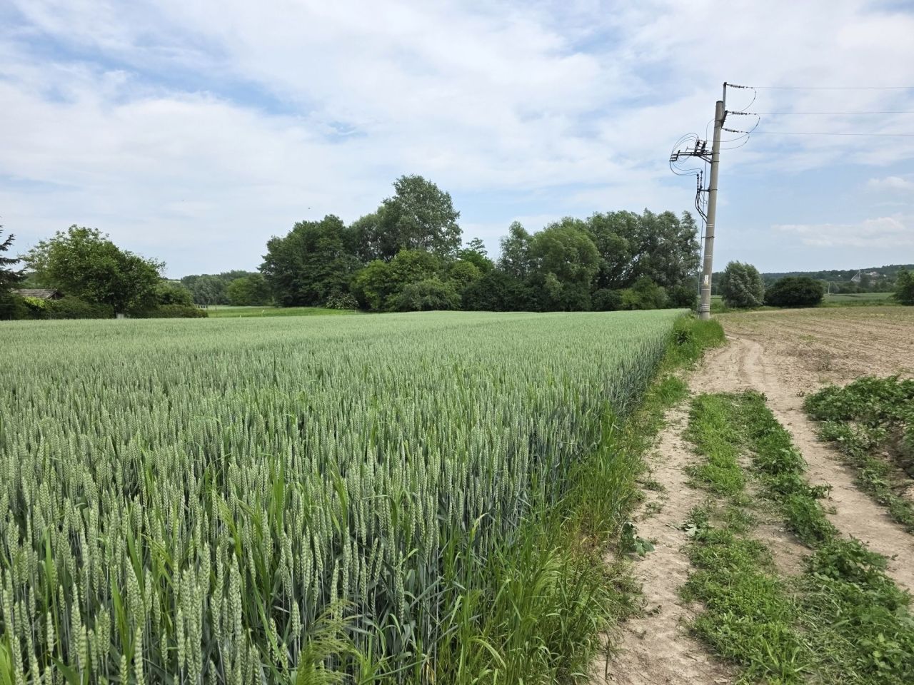 Działka budowlana Przeworsk, ul. Żurawia