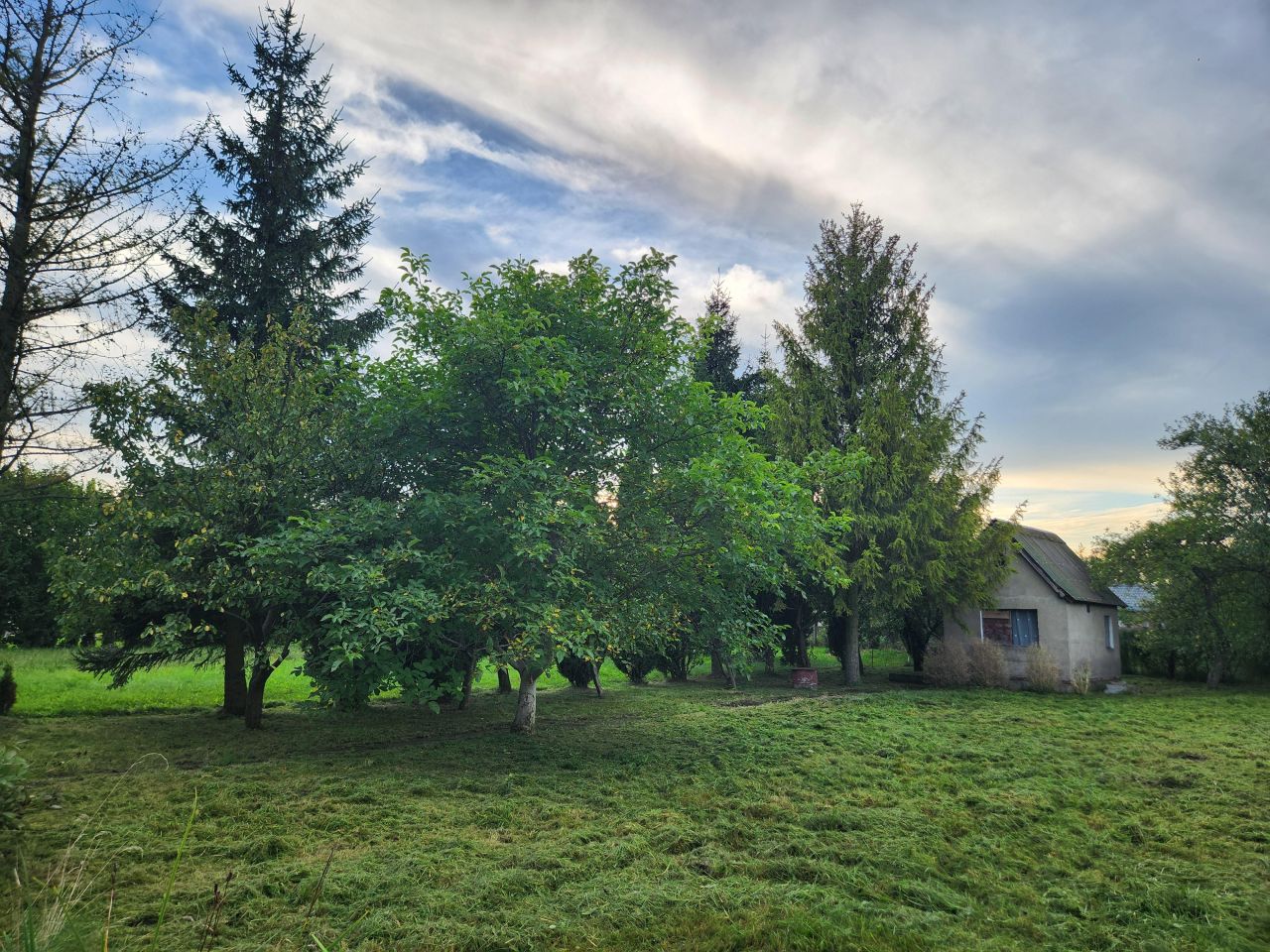 Działka rod Działdowo Działki, ul. Romana Dmowskiego. Zdjęcie 7