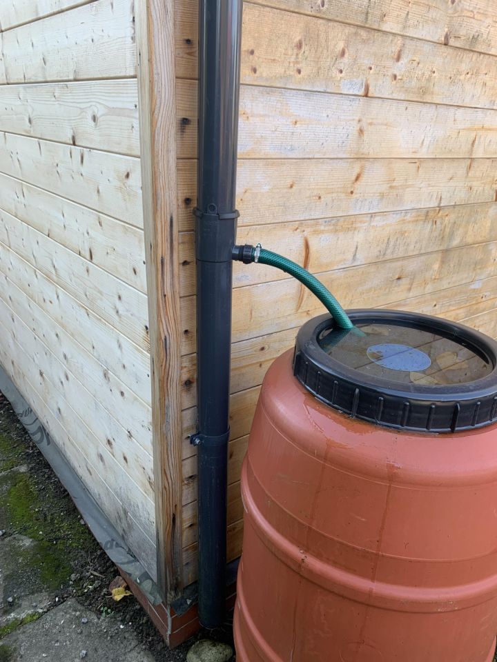 Działka rod Koszalin, ul. Dzierżęcińska. Zdjęcie 13