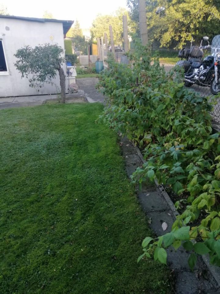 Działka rod Zgierz. Zdjęcie 2