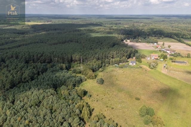 Działka rolna Obrzycko. Zdjęcie 11