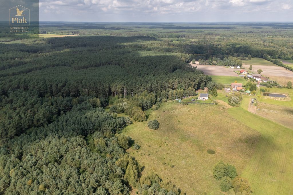 Działka rolna Obrzycko. Zdjęcie 11