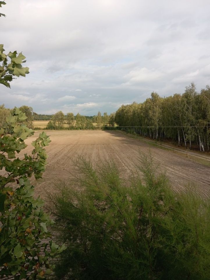 Działka budowlana Ciemniewo. Zdjęcie 2