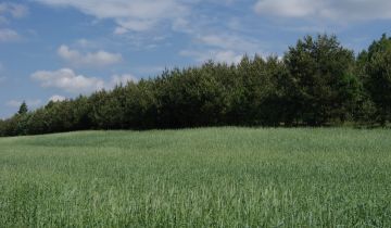 Działka rolna Lipina