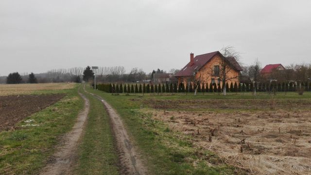 Działka rolna Przybiernówko. Zdjęcie 1