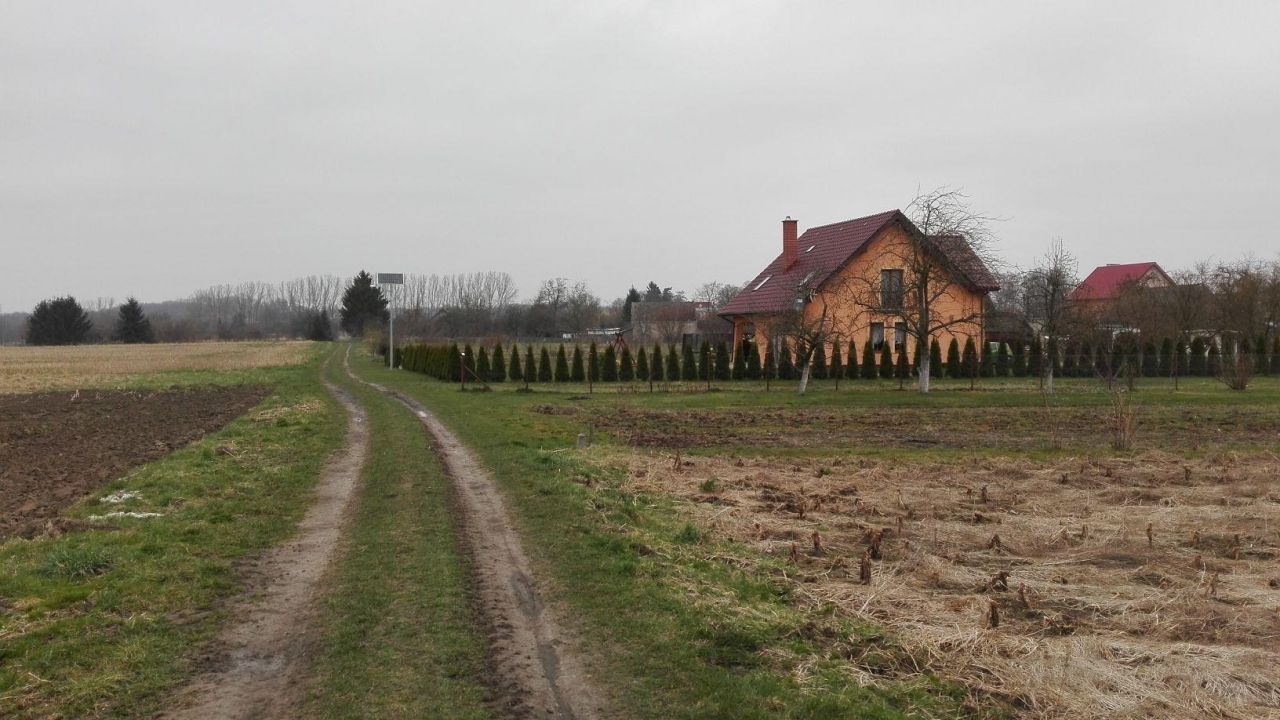 Działka rolna Przybiernówko