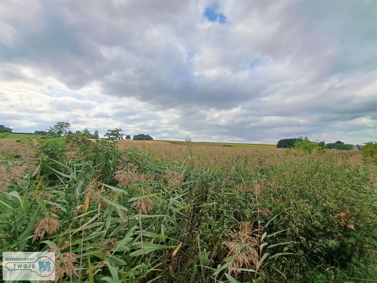 dom wolnostojący, 2 pokoje Ożarów. Zdjęcie 3