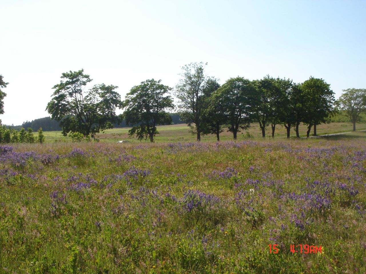 Działka budowlana Objazda. Zdjęcie 12