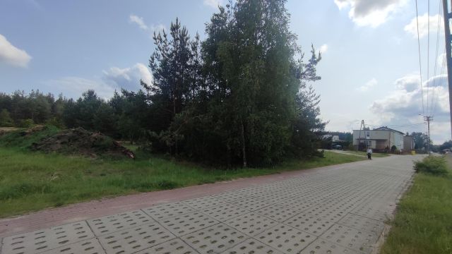 Działka rolno-budowlana Czarna Woda, ul. Wiśniowa. Zdjęcie 1