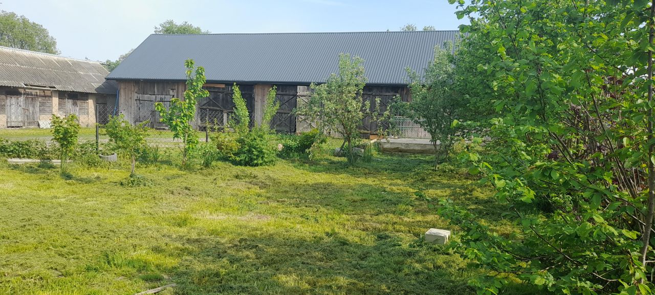 siedlisko, 6 pokoi Wyszonki-Wypychy. Zdjęcie 13