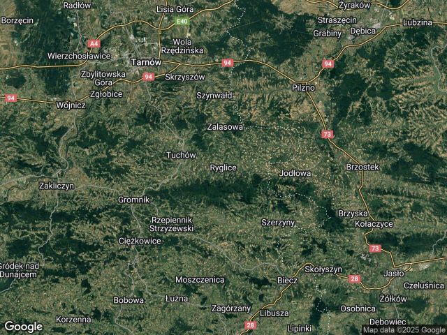 Działka leśna Ryglice. Zdjęcie 1