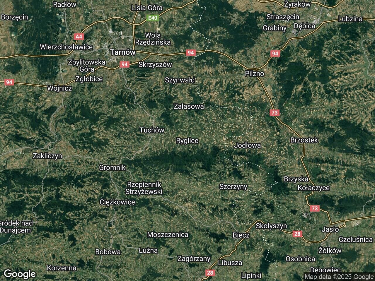 Działka leśna Ryglice. Zdjęcie 1