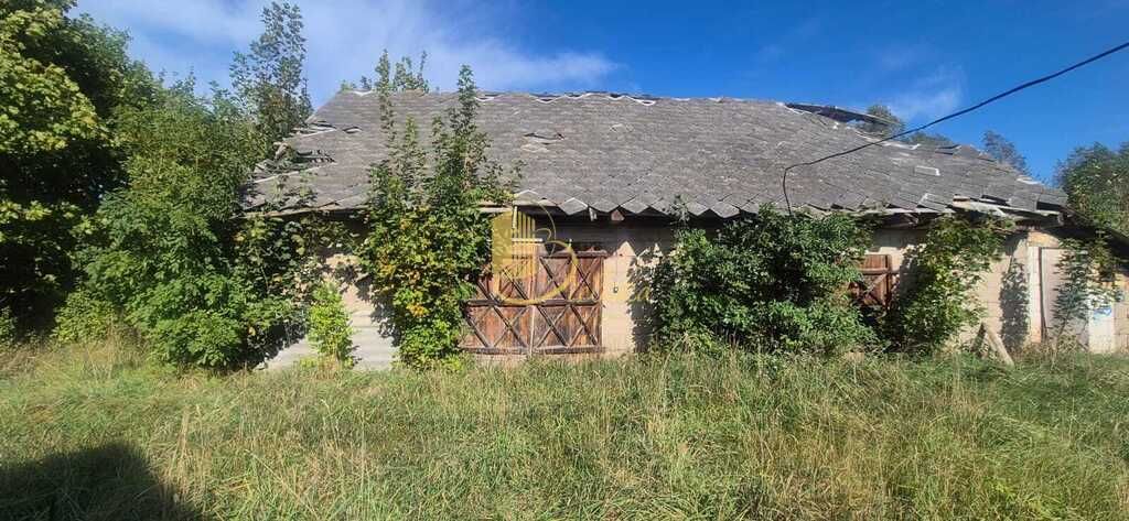 siedlisko, 3 pokoje Bierniki. Zdjęcie 4