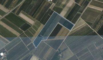 Działka rolna Wólka Kurdybanowska