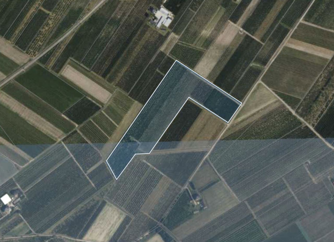 Działka rolna Wólka Kurdybanowska. Zdjęcie 2