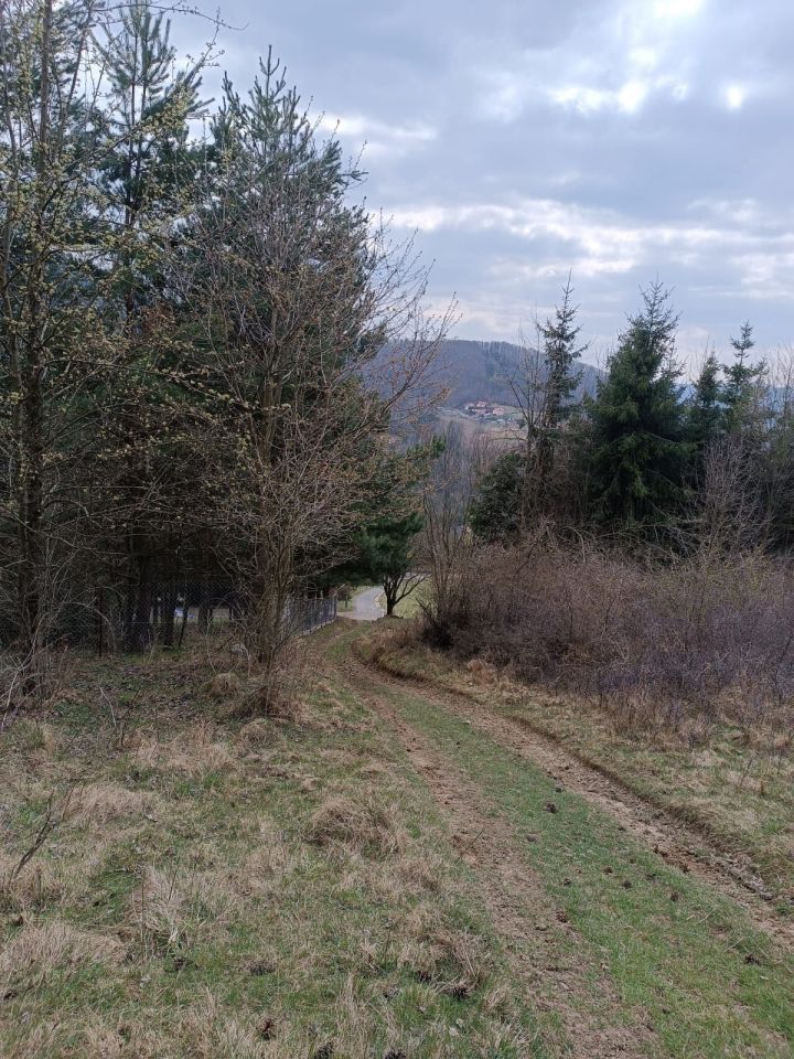 Działka budowlana Mutne. Zdjęcie 2