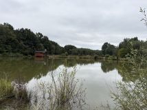 Działka Wojciechów. Zdjęcie 1