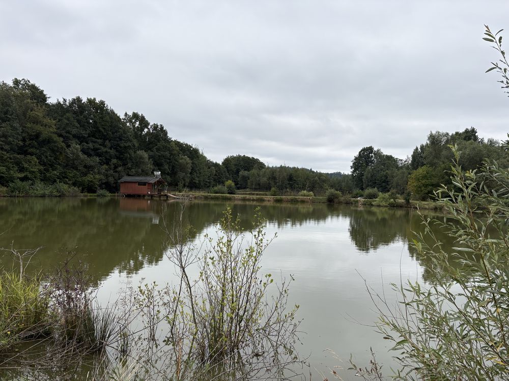 Działka Wojciechów. Zdjęcie 2