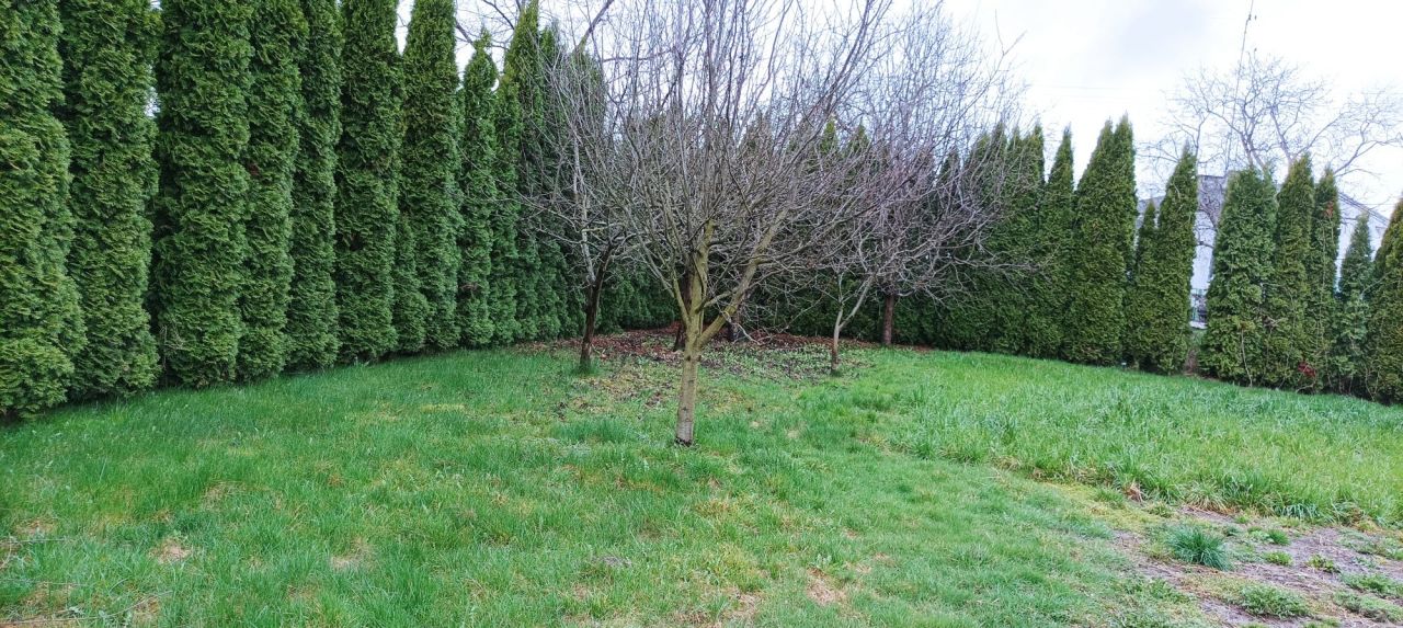 Działka budowlana Bronisze