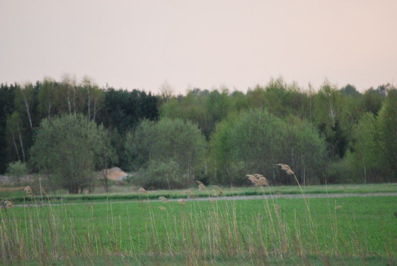 Działka budowlana Cyganka, Szkolna