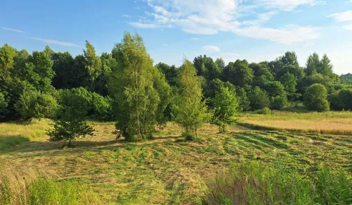 Działka budowlana Nawojowa Góra, ul. Marii Pałasińskiej